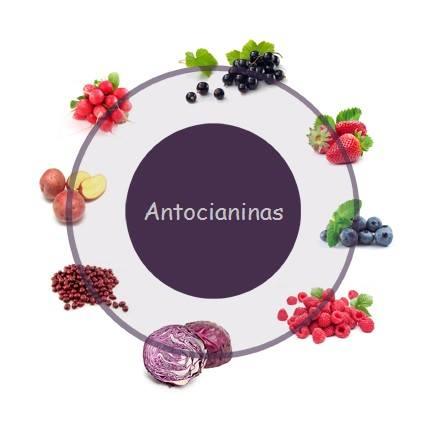ALIMENTOS ANTI-CANCER – PARTE I - Zona Cerealista Online