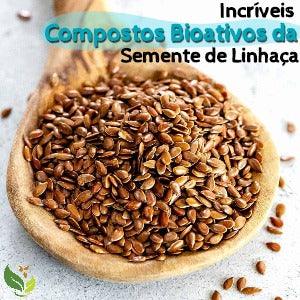 Incríveis Compostos Bioativos da Semente de Linhaça - Zona Cerealista Online