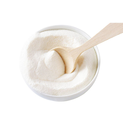 Leite de Coco em Pó Vegano (Granel 250g)