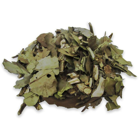 Chá Verde Folhas e Galhos