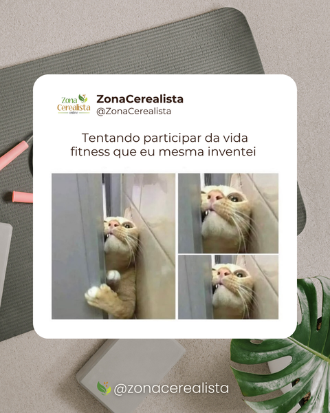 Tentando participar da vida fitness que eu mesma inventei 😹