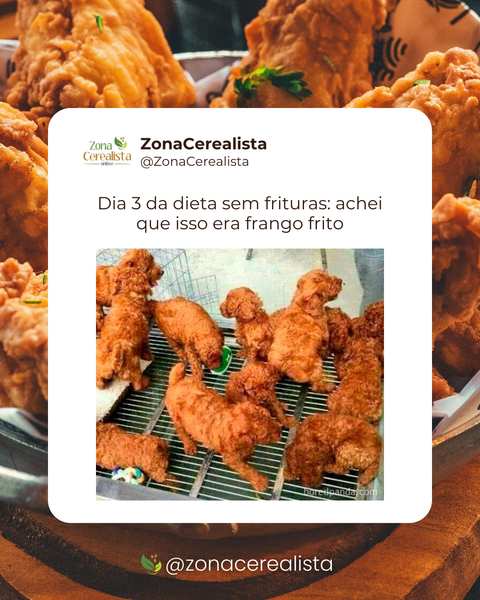 Dia 3 da dieta sem frituras 🍗😂