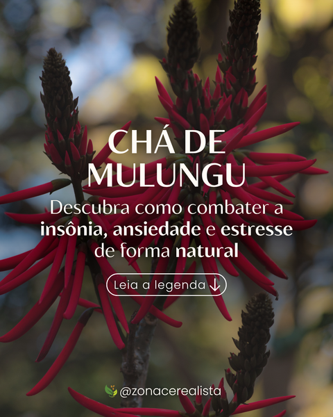 Chá de Mulungu: Descubra como combater a insônia, ansiedade e estresse de foma natural 🍃🧘🏻‍♀️