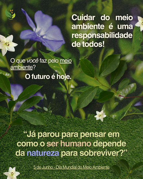 Dia Mundial do Meio Ambiente: Você já parou para pensar em como dependemos da natureza todos os dias? 🌱