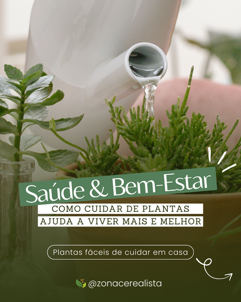 Saúde & Bem-Estar: Como cuidar de plantas ajuda a viver mais e melhor 🪴🧑🏻‍🌾
