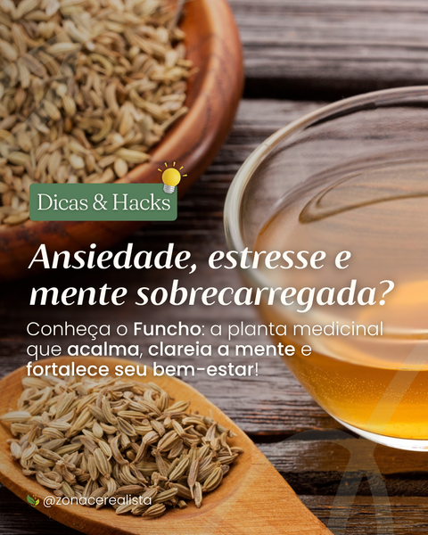Ansiedade, estresse e mente sobrecarregada? O Funcho pode te ajudar! 🌿