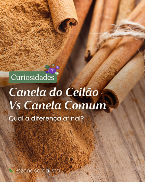 Canela-do-Ceilão vs Canela Comum: qual a diferença afinal? ✨🌿