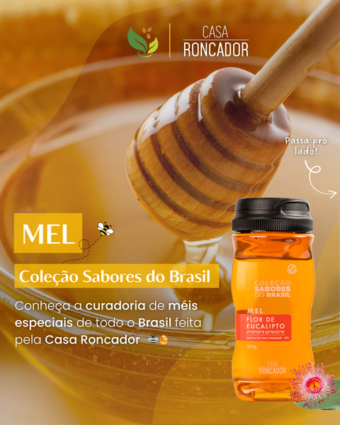 Mel: Conheça a Coleção Sabores do Brasil feita pela Casa Roncador 🍯🐝