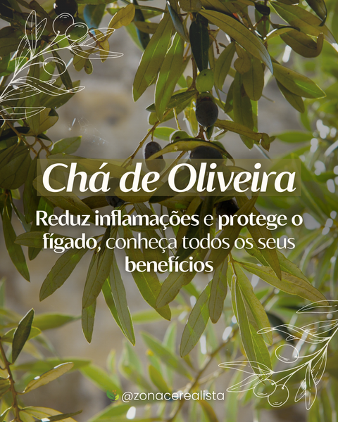 Chá de Oliveira: Reduz inflamações e protege o fígado, conheça todos os seus benefícios 🍃