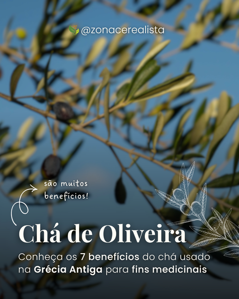 Chá de Oliveira: Conheça os 7 benefícios do chá usado na Grécia Antiga para fins medicinais 🍵