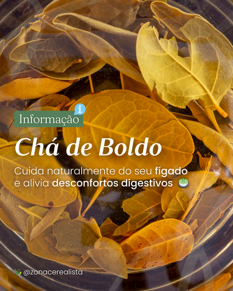 Chá de Boldo: O amargo que te faz bem 🌿