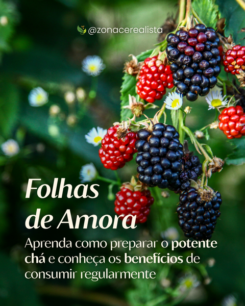 🍃 Conheça o poder das Folhas de Amora! 🌿
