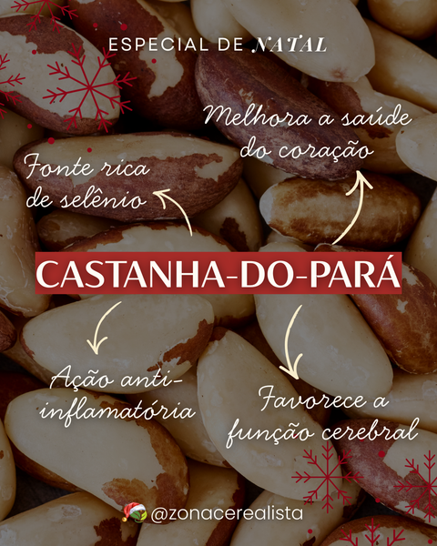 Castanha-do-Pará: Conheça todos os benefícios para sua saúde 🌰