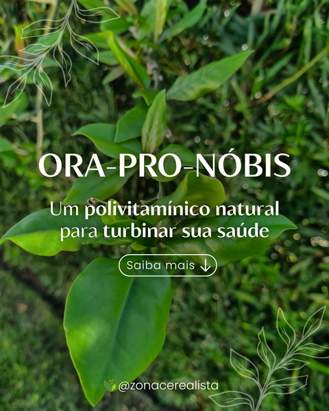 🌿 Ora-pro-nóbis: a super folha brasileira que conquistou a mesa saudável! 💚