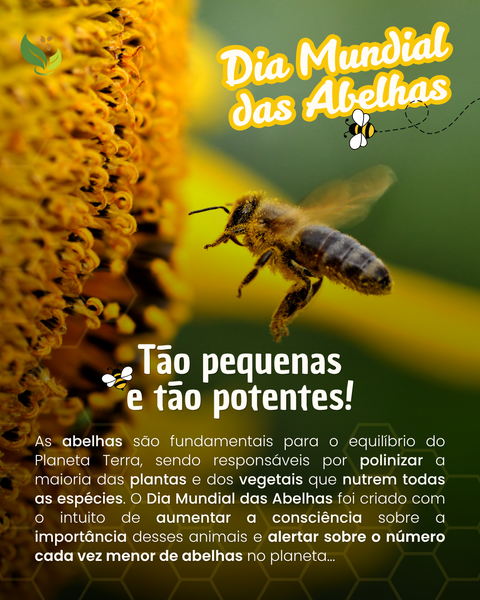 Dia Mundial das Abelhas: Tão pequenas e tão potentes! 🐝💛
