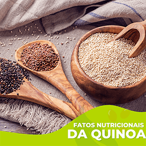 Fatos Nutricionais da Quinoa - Zona Cerealista Online