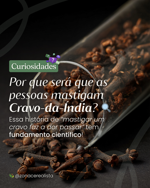 Por que será que as pessoas mastigam Cravo-da-Índia? 🤔