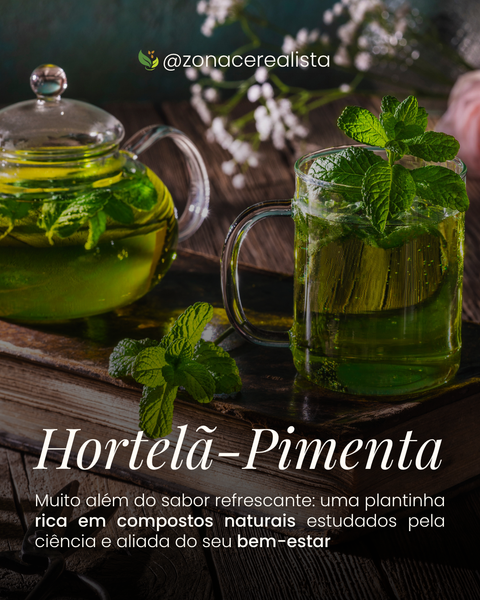Hortelã-Pimenta: Uma plantinha rica em compostos naturais e aliada do seu bem-estar 🌿