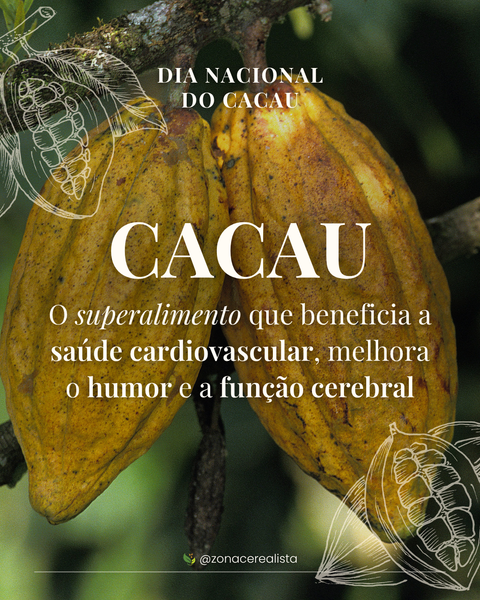 Saiba Mais sobre o Cacau: Beneficia a saúde cardiovascular, melhora o humor e a função cerebral! 🤎