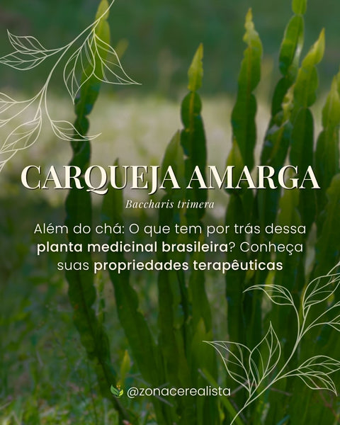 Carqueja Amarga: O que tem por trás dessa planta medicinal brasileira? 🌱🩺