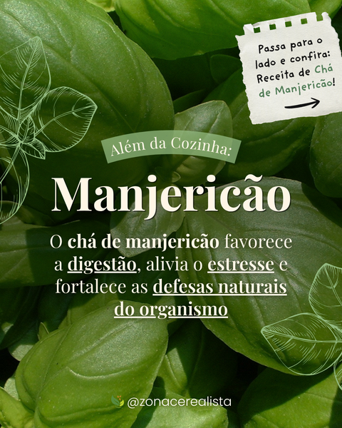 Manjericão além da cozinha: Favorece a digestão, alivia o estresse e muito mais! 🌿💚