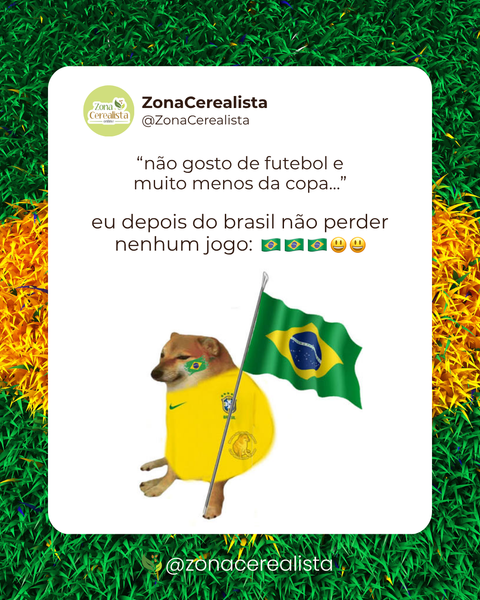 Quando ganha até dá vontade de torcer, né? 🤣😅 #Copa #Brasil