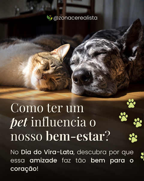 Como ter um pet influencia o nosso bem-estar? 🐶🐱  #DiadoViraLata
