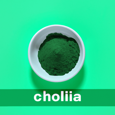 Chlorella: O que é e Quais os Benefícios deste Superalimento - Zona Cerealista Online