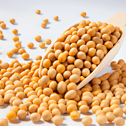 Proteína Isolada de Soja: Uma Alternativa Rica em Nutrientes para sua Dieta - Zona Cerealista Online