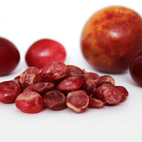 Frutos Desidratados: Benefícios e Receitas Saborosas - Zona Cerealista Online