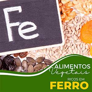 Alimentos vegetais ricos em ferro! - Zona Cerealista Online