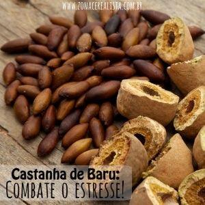 Castanha de Baru e o combate ao estress! - Zona Cerealista Online