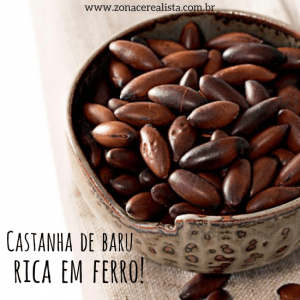 CASTANHA DE BARU: RICA EM FERRO