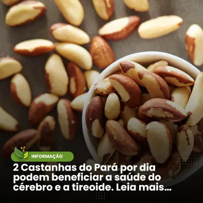 2 Castanhas do Pará por dia podem beneficiar a saúde do cérebro e a tireoide. Leia mais...