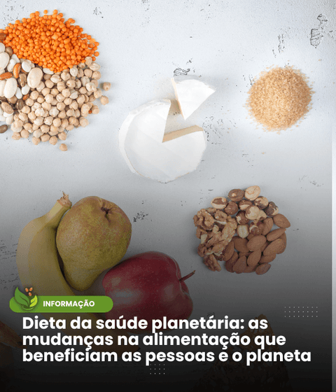 Dieta da saúde planetária: as mudanças na alimentação que beneficiam as pessoas e o planeta - Zona Cerealista Online