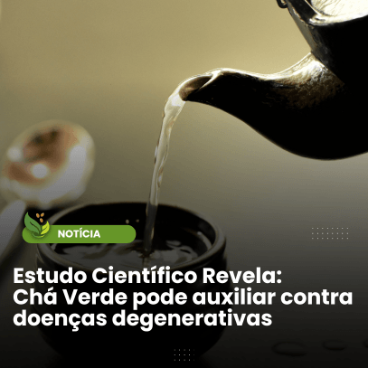 Estudo Científico Revela: Chá Verde pode Auxiliar Contra Doenças Degenerativas - Zona Cerealista Online