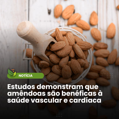 Estudos demonstram que amêndoas são benéficas à saúde vascular e cardíaca - Zona Cerealista Online