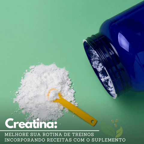 Melhore sua rotina de exercícios com estas receitas de creatina deliciosas e repletas de nutrientes - Zona Cerealista Online