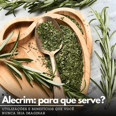 Alecrim: para que serve? - Zona Cerealista Online