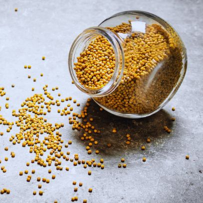 Mostarda: Tipos, Benefícios e Como Usar na Cozinha - Zona Cerealista Online
