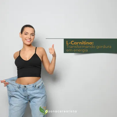 L-Carnitina: transformando gordura em energia