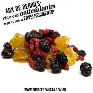 Mix de Berries: Rico em Antioxidantes - Zona Cerealista Online