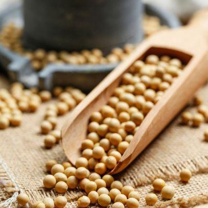 Proteína de Soja: Uma Opção Versátil e Rica em Nutrientes - Zona Cerealista Online