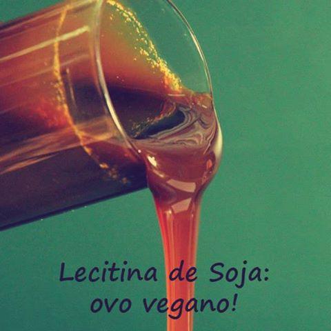 LECITINA DE SOJA: OVO VEGANO! - Zona Cerealista Online