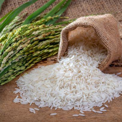 Basmati Arroz: O Que o Torna Único e Diferenciado na Culinária? - Zona Cerealista Online