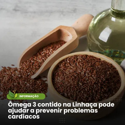 Ômega 3 Contido na Linhaça Pode Prevenir Doenças Cardíacas