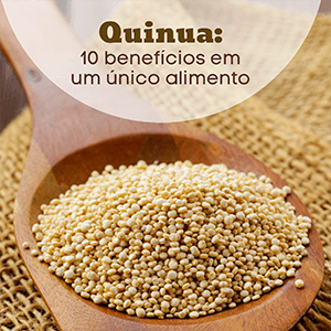 Quinua: 10 benefícios em um único alimento - Zona Cerealista Online