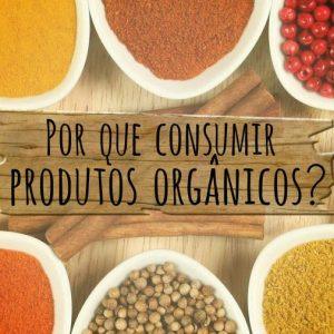 5 motivos para optar por uma alimentação orgânica - Zona Cerealista Online