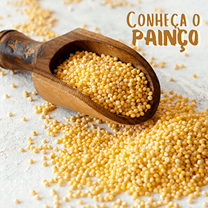 Conheça o Painço! - Zona Cerealista Online