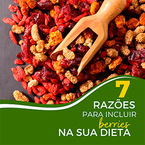 7 razões para incluir Berries na sua dieta! - Zona Cerealista Online